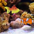 thumbnail image 4 of 2PCS Artificial Fish,Silicone Floating Goldfish Glowing Fish Fake Tropical Fish for Aquarium Floating Ornament, 4 of 5