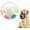 white, variant on TPR Dog Soccer Ball, Animal Dog Soccer Ball Durable TPR,Comes with Handles, Interactive and Fun Gameplay, Waterproof, Makes A Squeaking Sound.