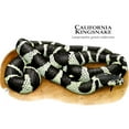 thumbnail image 3 of CafePress - California Kingsnake Mug - 11 oz Ceramic Mug - Novelty Coffee Tea Cup, 3 of 6
