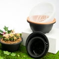thumbnail image 3 of Maceta suculenta Toystoory PP Naranja, 3 of 6