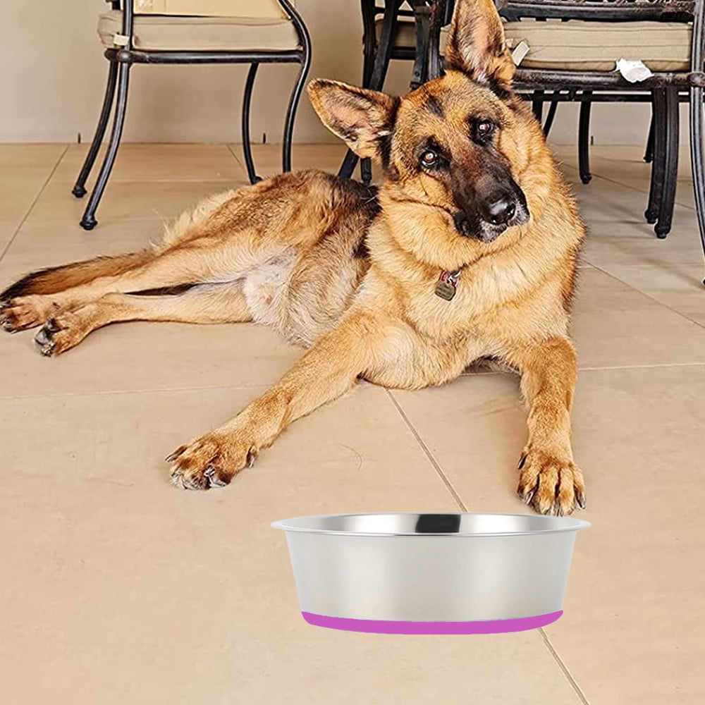 Dog bowls with rubber bottoms 2025