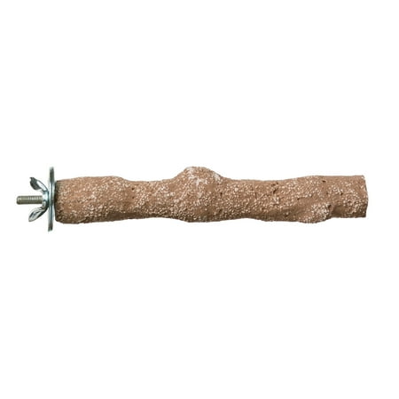 Prevue Pet Products Wood Pacific Perch Beach Branch, Ground Sea Shells