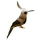 thumbnail image 4 of Figura decorativa de pájaro, modelo de decoración de mesa para decoración del hogar y Colibrí, 4 of 4