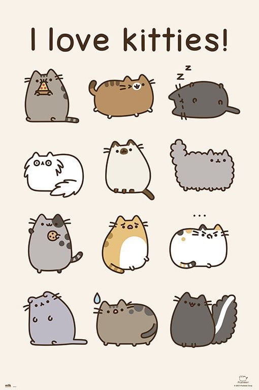 black pusheen cat