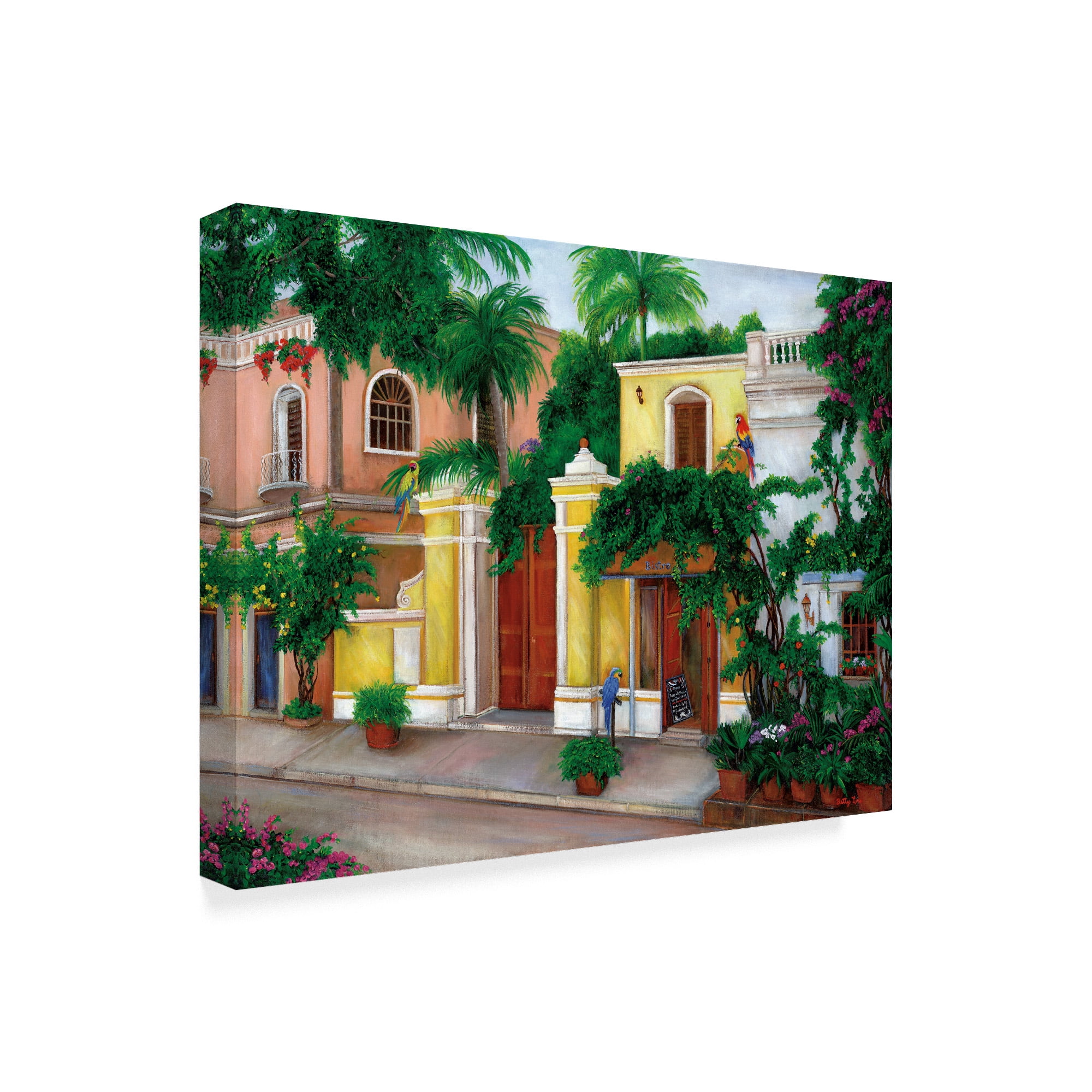 Trademark Fine Art 'Hacienda Parrots' Canvas Art by Betty Lou