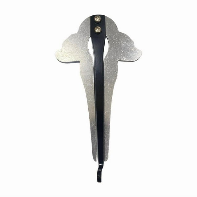 LEEYNEER Harpe Oratorio Russe en Métal Fait Main - Harmonica Rond Mongol Portable pour Débutants Instrument Soufflant Multi-Notes Poli avec Design Ornemental Musique Ethnique Compacte