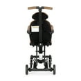 Evolur Cruise Rider Stroller, Coginac