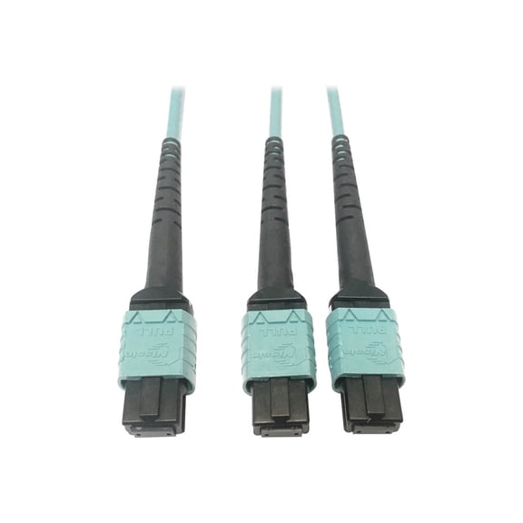 Eaton Tripp Lite Series 400G Multimode 50/125 OM4 Plenum Fiber Optic Cable, 24F MTP/MPO-PC to [x2] 12F MTP/MPO-PC [F/F], Aqua, 3 m (n846d-03m-24baq)
