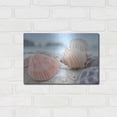 thumbnail image 3 of Luxe Metal Art 'Crescent Beach Shells 10' by Alan Blaustein Metal Wall Art, 16"x12", 3 of 8