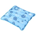 thumbnail image 1 of Almohada De Enfriamiento, Almohada De Hielo Engrosada Cojín De Agua Suave Cojín De Enfriamiento Estera De Cama De Agua Almohada De Hielo Engrosada Cojín De, 1 of 7