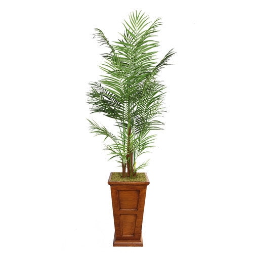 Laura Ashley Home Tall Areca Palm Tree in Planter