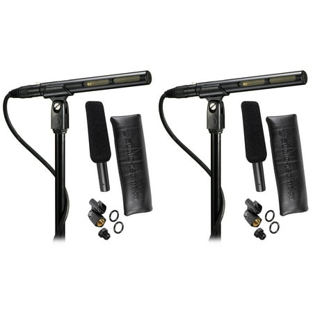 2) Audio Technica AT875R Short Shotgun Condenser Microphones w/ Line+Gradient (Best Short Shotgun Mic)