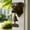 B, variant on Nsxcdh Home Decor Western Welcome Doorbell White Emblem Design Wall Mounted Entry Bell Rustic Farmhouse Entry Ring Front Door Decorative Accent Seasonal