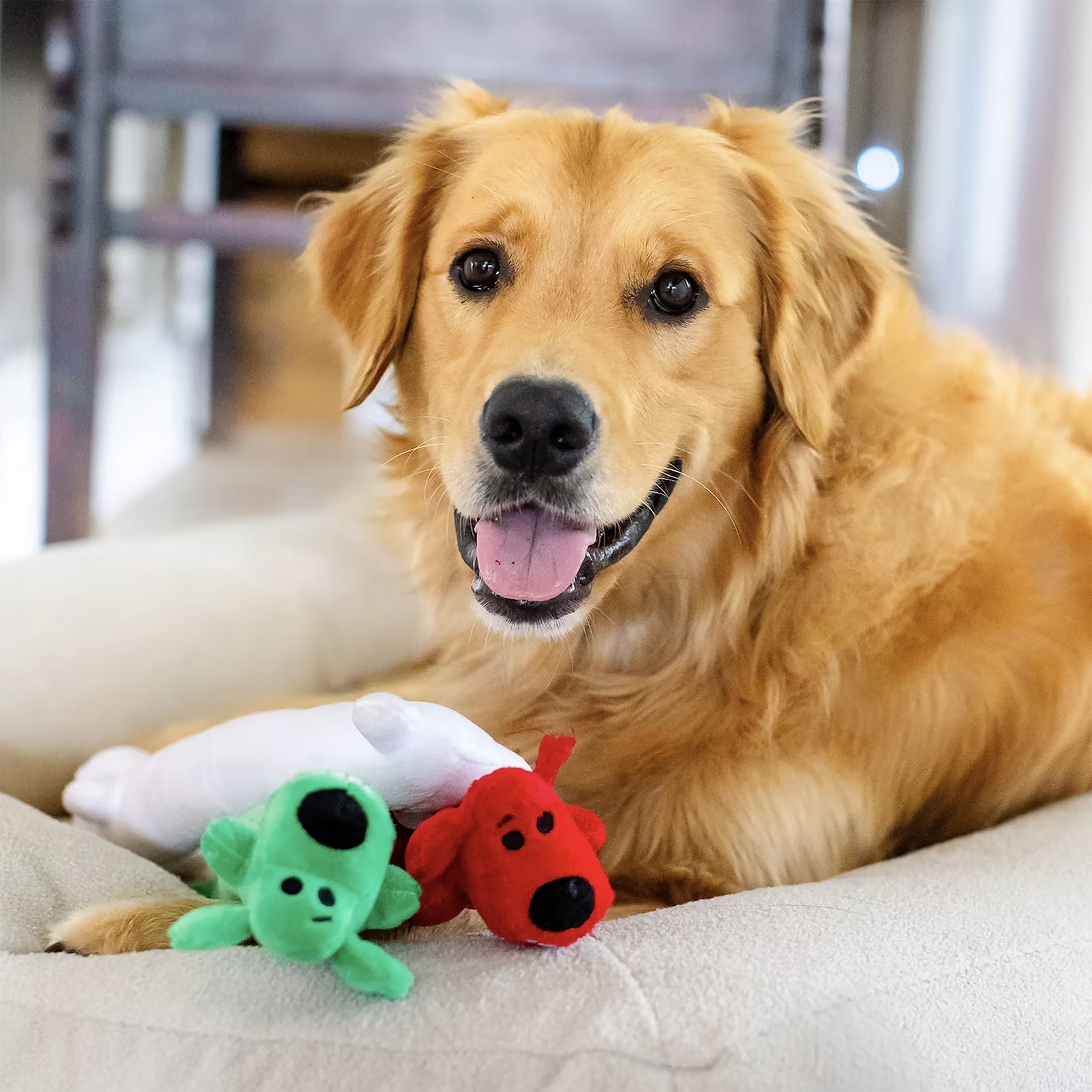Multipet Plush Holiday Loofa Dog Toys, Stuffing & Squeaker, 3 Pack with Red, White & Green