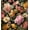 Rose-C, variant on Boho Floral Shower Curtain Vintage Dark Flower Shower Curtain Fabric Sunflower Plants Bath Curtains with Hooks, 36x72inch