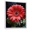 thumbnail image 2 of Designart "Blooming Red Daisies Nature s Beauty I" Floral Floater Framed Canvas Wall Art, 2 of 7