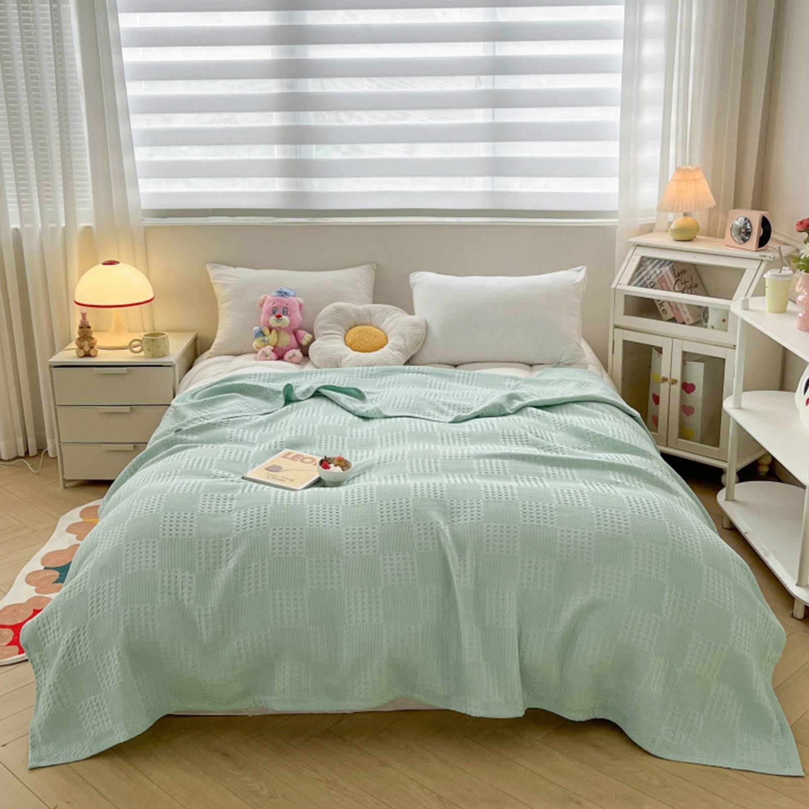 Soft Blankets for Beds, Plush Soft Fleece Throw Blanket Blankets for Bed, Fuzzy Cozy Flannel Blanket Throw for Sofa, Soft Warm Light Weight for Travelling In Spring Summer,70.87 X 78.74 Inch