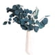 thumbnail image 1 of Ramo de flores secas de eucalipto Sincero decoración para el hogar sala de estar, 1 of 6