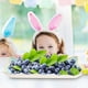 thumbnail image 5 of 4pcs Party sirviendo bandejas y platos bandejas artísticas desechables Display de alimentos significa fiesta, 5 of 6