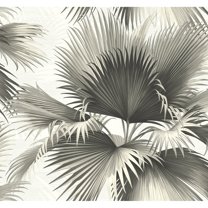 Kenneth James Endless Dark Green Palm Unpasted Gravure Acrylic Coated Wallpaper, 27-in by 27-ft, 60.8 sq. ft.