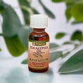 thumbnail image 1 of De la Cruz | De La Cruz Aceite Esencial De Eucalipto, 30 Ml, 1 of 1