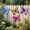 SET A, variant on Metal Butterfly Wall Art Decor 4 Pack, Colorful Hanging Butterfly Sculpture for Indoor Outdoor Garden Yard Patio Fence, Gift for Mom Friend A
