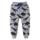 thumbnail image 1 of Odeerbi 2-8 Años Para Niños Pantalones de Algodón Entrenamiento de Estampado de Dinosaurio Athletic Sports Jogger Pantalones de Primavera Bordados Joggers, 1 of 6