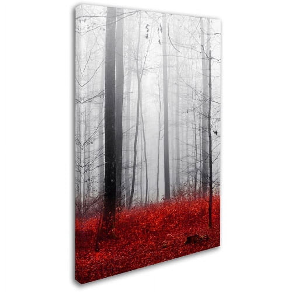 Trademark Fine Art "Little Red Carpet" Canvas Art by Philippe Sainte-Laudy