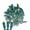Warm White, variant on Novelty Lights 25FT 50 Light LED Pure White, Outdoor String Lights, Corded Electric, Dimmable