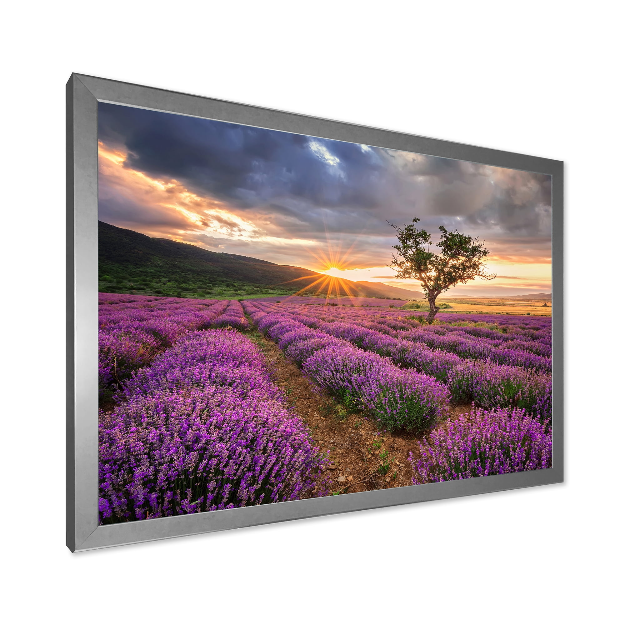 Designart 'Dramatic Clouds and Sunrise Over Lavender Field VIII' Farmhouse Framed Art Print