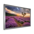 thumbnail image 2 of Designart 'Dramatic Clouds and Sunrise Over Lavender Field VIII' Farmhouse Framed Art Print, 2 of 4