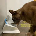 thumbnail image 5 of Non-Slip Double Cat Bowl Dog Bowl With Stand Pet Feeding Cat Water Bowl For Cats Food Pet Bowls For Dogs, 5 of 10