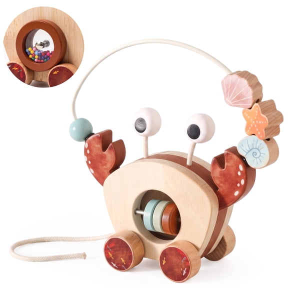 BIGODY Pull Along Toddler Toys, Montessori Wooden Toys Bead Maze & Push Pull , Early Learning Toy for Baby 1-3 Years Old, Gifts for 2 Year Old Girls Boys