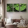 thumbnail image 4 of Botanical Dewdrop Triptych Canvas Art for Office and Home Decor,Nature-Inspired Wall Art,Contemporary Aesthetic Gift for Eco-Conscious Enthusiasts and Cottagecore Lovers, 4 of 6