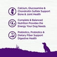 thumbnail image 5 of Wellness Complete Health Senior Dry Dog Food, Age Advantage, Deboned Chicken & Barley Recipe, 5-Pound Bag, 5 of 10
