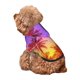 thumbnail image 5 of Fotbe Palm Trees at Sunset Sudadera con Estampado para Perros Pequeños – Suéter con Capucha para Mascotas, Tela Suave de Forro Polar con Bolsillo-Small, 5 of 7