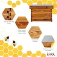 thumbnail image 5 of JUMBL Complete 30 Pcs. Bee Keeping Starter Kit with Suit, Guide, Tools & Sheets - Wax Coated, 5 of 8
