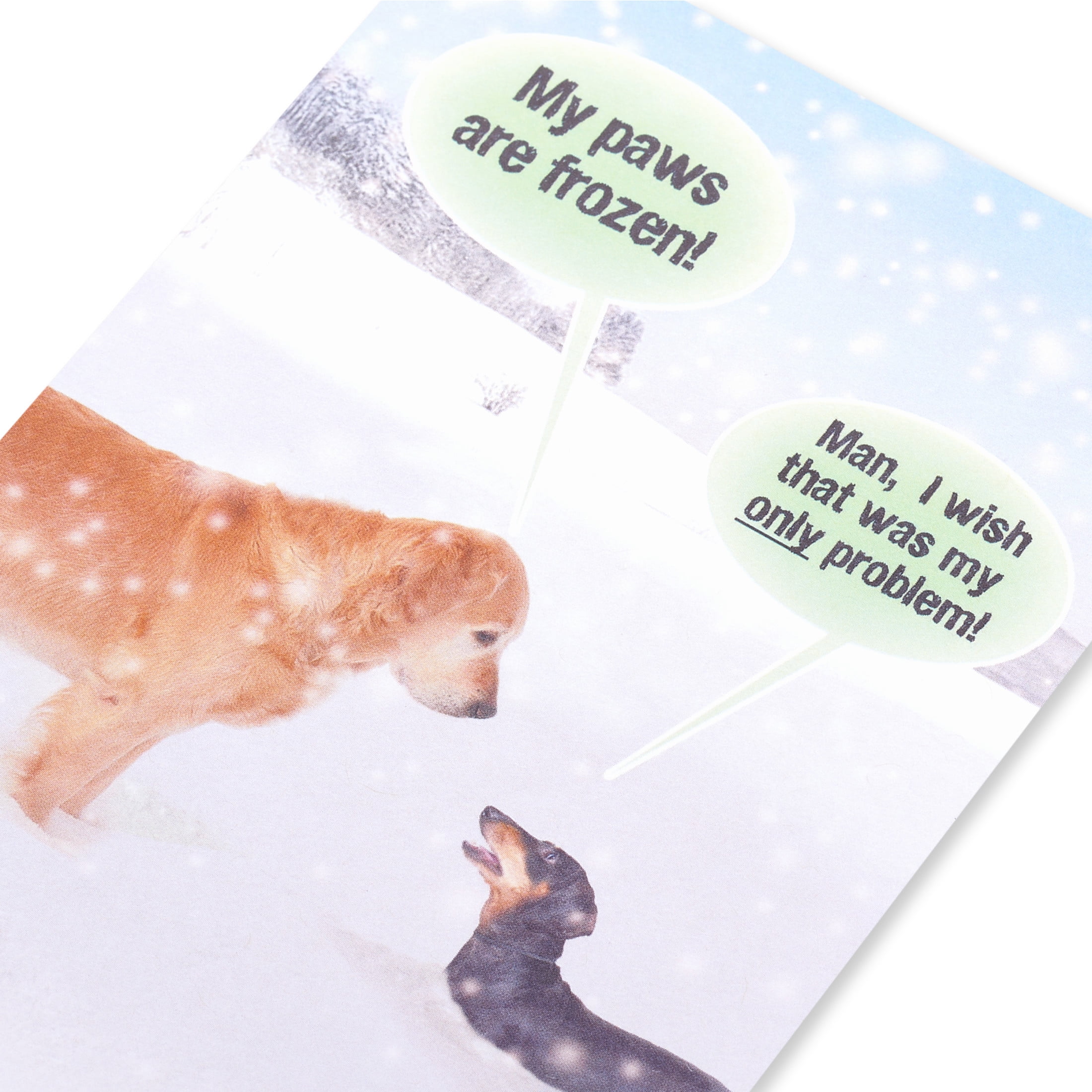 American Greetings Funny Christmas Greeting Card for Anyone, (Warm Wishes)