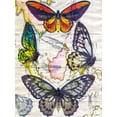 thumbnail image 2 of Butler, John 15x18 White Modern Wood Framed Museum Art Print Titled - Butterfly Map IV, 2 of 4