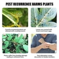 thumbnail image 4 of Plant Insecticidal Water Emulsion Spray, 16.7 OZ Ultra Efficient Garden Insecticide for Indoor & Outdoor Plants, Kills Whiteflies & Caterpillars, Safe for Vegetables, Flowers & Houseplants, 4 of 7