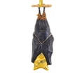 thumbnail image 2 of Cody Foster 4.25In Hanging Bat, Glass, Flying Mammals Ms6549, 2 of 3