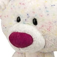 thumbnail image 4 of GUND Confetti Toothpick Teddy Bear Textured Plush Stuffed Animal, Rainbow, 15”, 4 of 6
