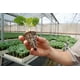 thumbnail image 3 of 5 CHAROLA GERMINADORA 200 CAVIDADES / SUNCOVER SUNCOVER AGRÍCOLA / RIEGO, 3 of 6