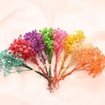 thumbnail image 2 of TQEHS Flores secas de algodón mini y frescas de Babysbreath natural K5 G9X6, 2 of 6