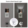 thumbnail image 3 of Pofeuu Dapper Cat in Sunglasses Print Night Lights Plug into Wall with Dusk-to-Dawn Light Sensor, LED Nightlight for Bathroom, Adult, Hallway-EU, 3 of 7