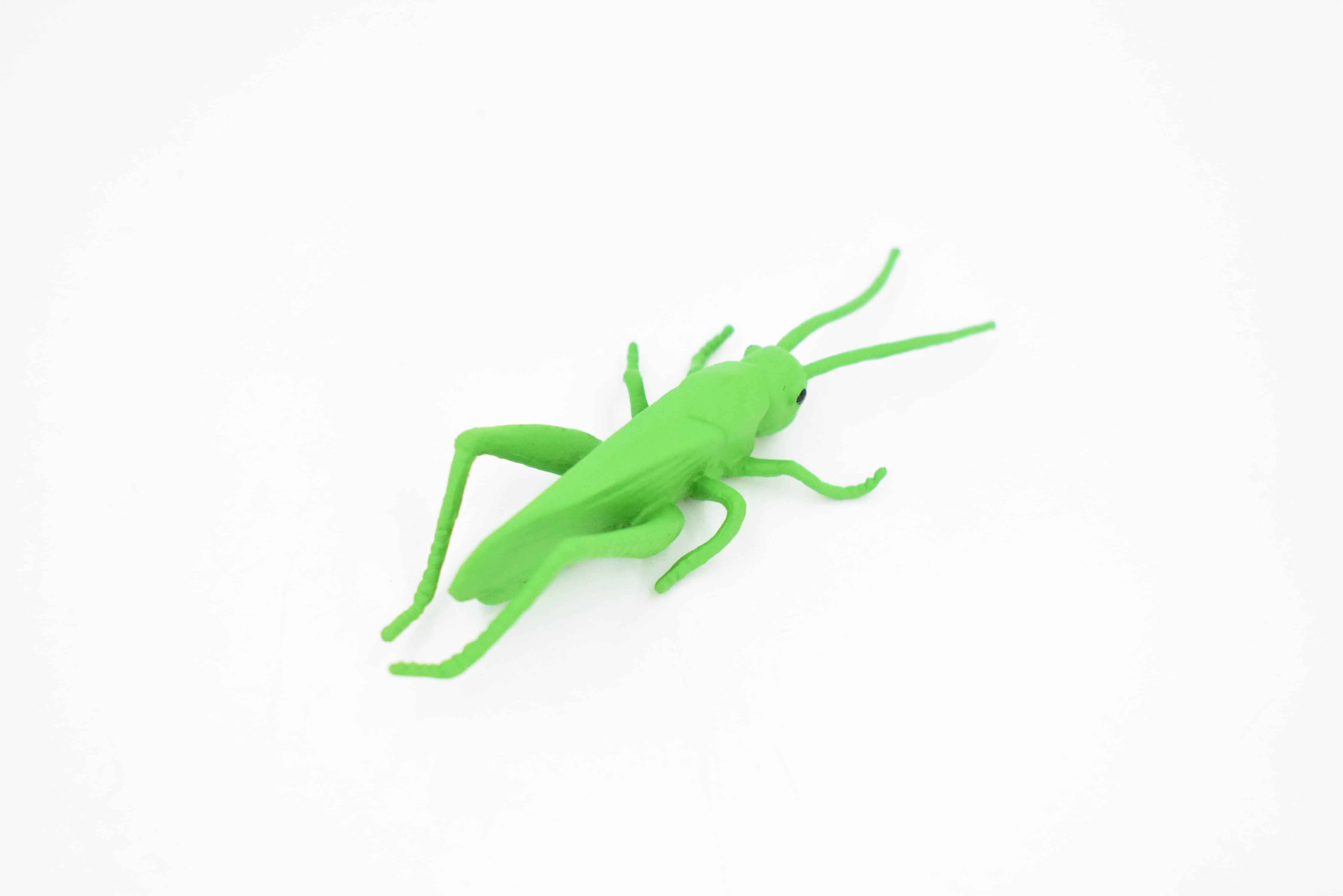 Plastic grasshopper toys new arrivals