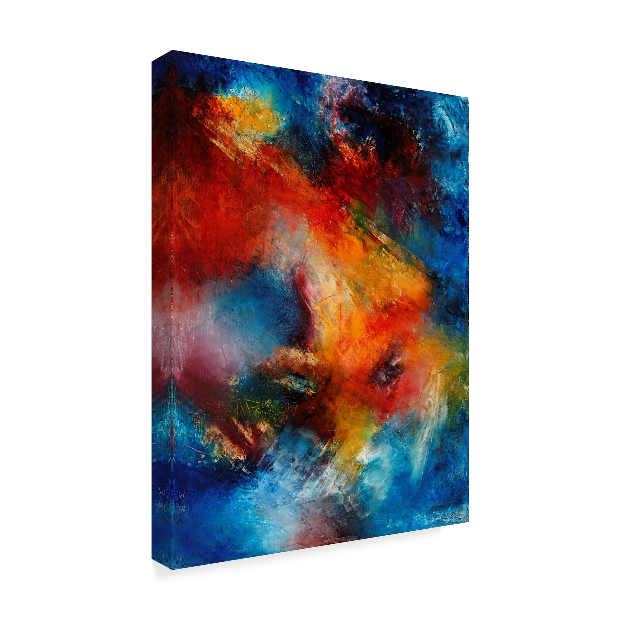 Trademark Fine Art 'A Star Is Born' Canvas Art by Aleta Pippin