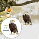 thumbnail image 3 of Decoración de búho falso Scarer de pájaro de búho falso de búho señuelo Búho para mantener a los pájaros alejados Estilo E, 3 of 7