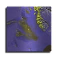 thumbnail image 1 of Luxe Metal Art 'Earth as Art: Koettlitz Glacier,' Metal Wall Art, 12"x12", 1 of 7