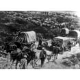 thumbnail image 2 of World War I History (36 x 24), 2 of 2